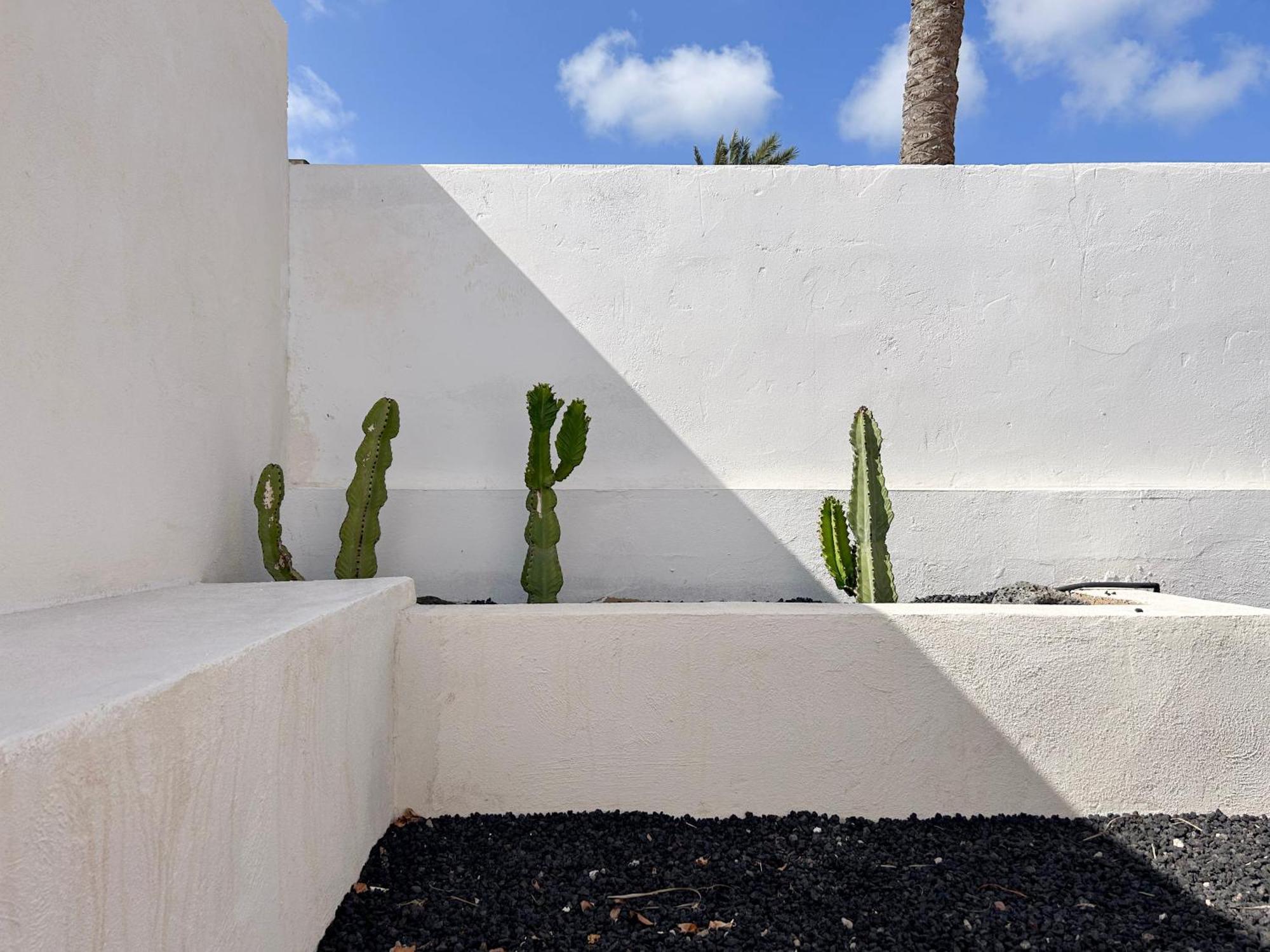 House Boho Palm With Private Heated Pool And Garden, 3 Bedrooms, Wi-Fi Corralejo Buitenkant foto